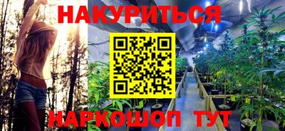 Альфа ПВП Анапа