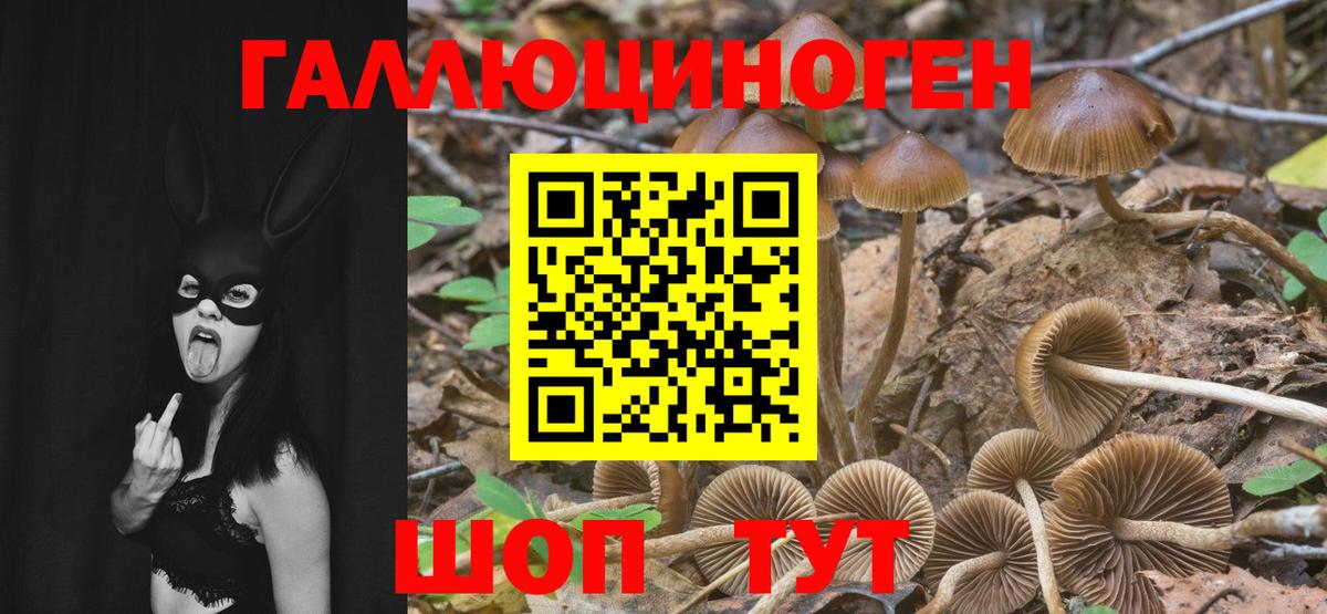 Галлюциногенные грибы прущие грибы Аша